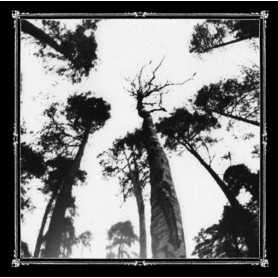 ANCESTORS BLOOD - When the Forest Calls . CD