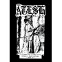 ATESH-demo-IV-cd