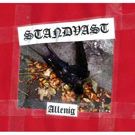 STANDVAST-Allenig