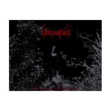 VERZIVATAR - In the Shadow of Sombre Clouds . CD