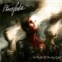 EBONYLAKE - In Swathes Of Brooding Light . CD