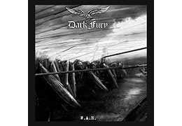 DARK FURY - W.A.R. Vinyl 12" LP